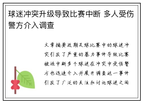 球迷冲突升级导致比赛中断 多人受伤警方介入调查