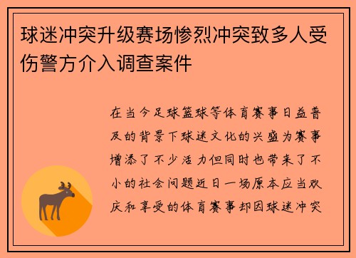球迷冲突升级赛场惨烈冲突致多人受伤警方介入调查案件